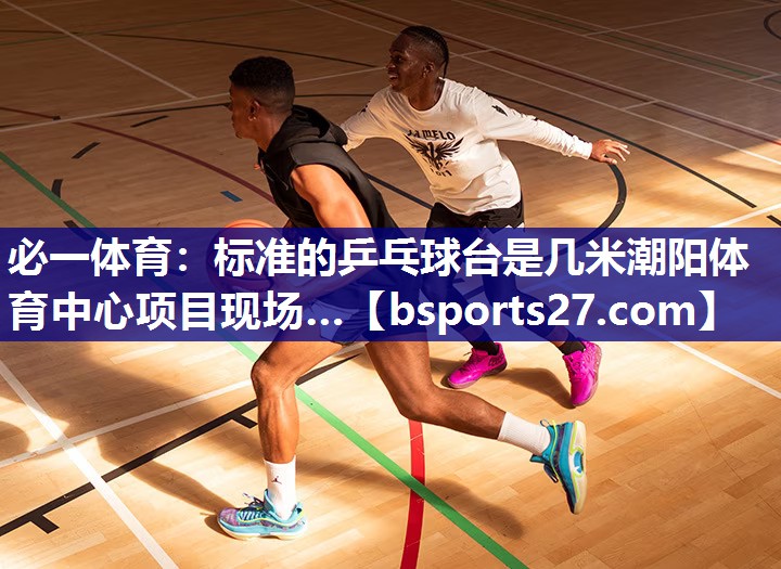 必一体育：标准的乒乓球台是几米潮阳体育中心项目现场…