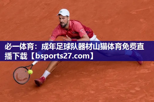 必一体育：成年足球队器材山猫体育免费直播下载
