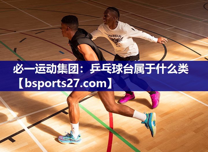 乒乓球台属于什么类 乒乓球台属于什么类