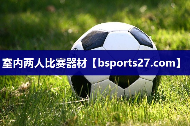 室内两人比赛器材 室内两人比赛器材