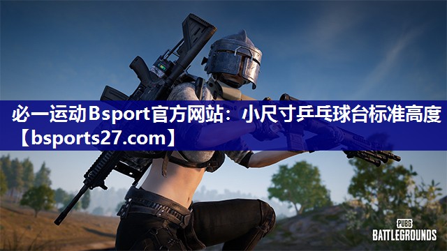 小尺寸乒乓球台标准高度 小尺寸乒乓球台标准高度